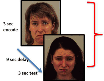 Image: Working memory task: Over several trials, participants were required to attend to either the identity (non-emotional feature) or the emotion of a face, remember it during a 9 second delay, and match the feature to a subsequent face. Neural activity in the visual cortex elicited by the emotion trials predicted a patient’s subsequent responsiveness to scopolamine treatment (Photo courtesy of Maura Furey, PhD, NIMH Experimental Therapeutics and Pathophysiology Branch).